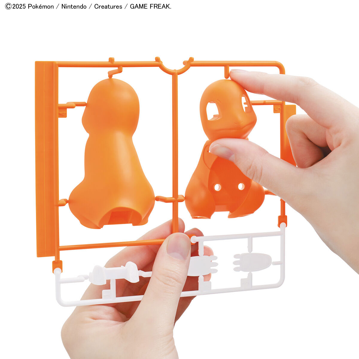 Charmander Model Kit Pokemon Bandai Hobby
